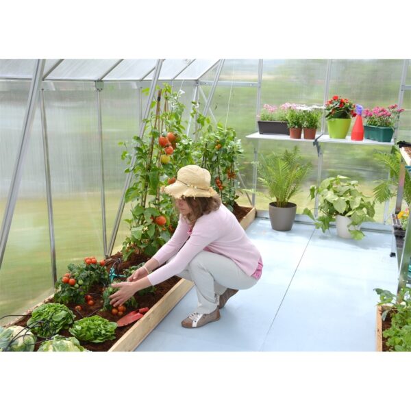 üvegház virágoknak