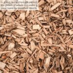 Scheppach GS 60 elektromos ágaprító 2800 W motorral, átlátszó gyűjtőedénnyel, hengeres - Image 6