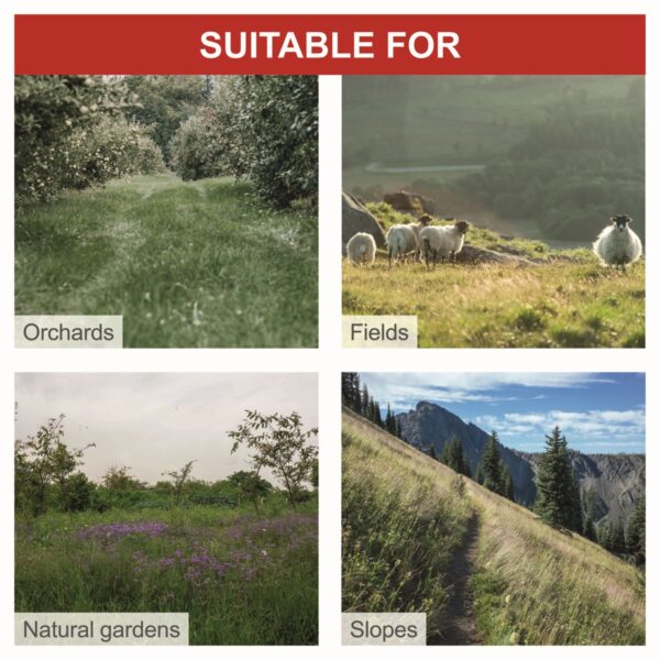 Scheppach BMS 196-88 benzinmotoros önjárós alternáló kasza - Image 4