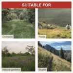 Scheppach BMS 196-88 benzinmotoros önjárós alternáló kasza - Image 7